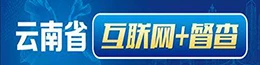 云南省互聯網+督查